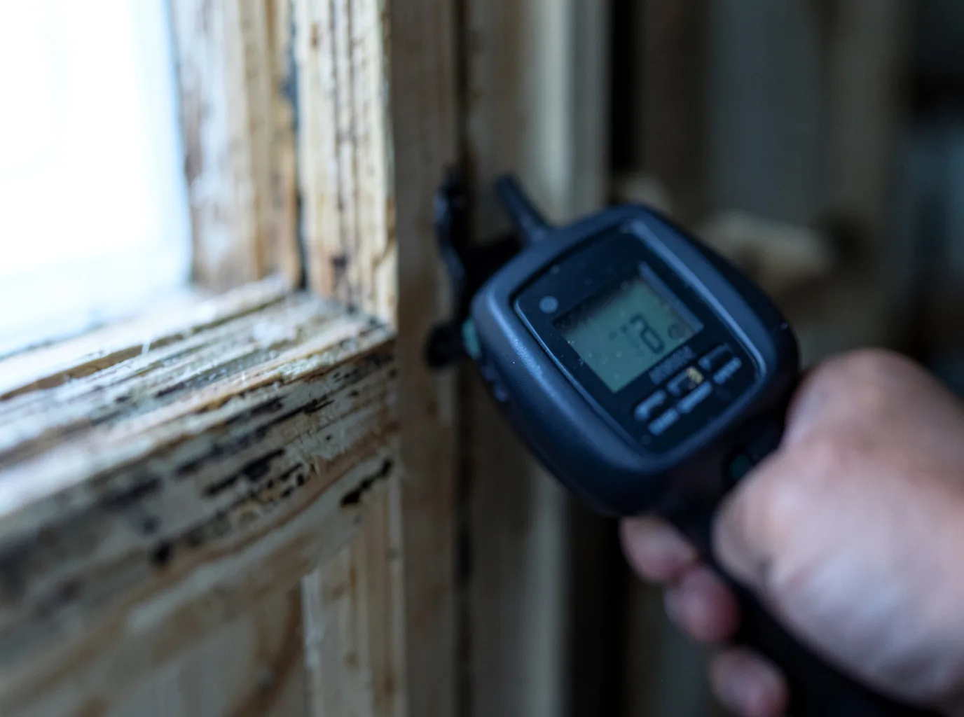 Moisture Inspection And Documentation in Pearland, TX